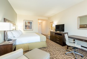 Holiday Inn Express & Suites Denver South Castle Rock