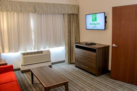 Holiday Inn Hotel & Suites Denver Tech Center-Centennial