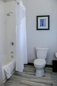 Holiday Inn Hotel & Suites Denver Tech Center-Centennial