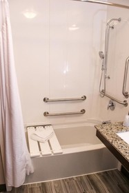Holiday Inn Hotel & Suites Denver Tech Center-Centennial
