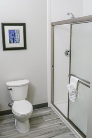 Holiday Inn Hotel & Suites Denver Tech Center-Centennial