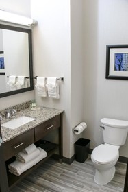 Holiday Inn Hotel & Suites Denver Tech Center-Centennial