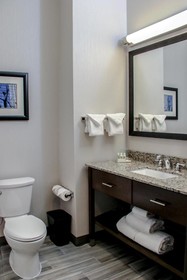 Holiday Inn Hotel & Suites Denver Tech Center-Centennial