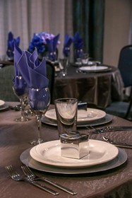 Holiday Inn Hotel & Suites Denver Tech Center-Centennial