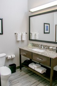 Holiday Inn Hotel & Suites Denver Tech Center-Centennial