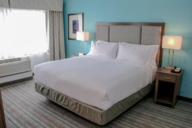 Holiday Inn Hotel & Suites Denver Tech Center-Centennial
