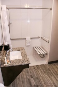 Holiday Inn Hotel & Suites Denver Tech Center-Centennial