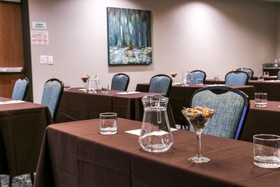 Holiday Inn Hotel & Suites Denver Tech Center-Centennial
