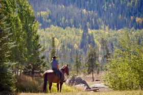 Vista Verde Ranch