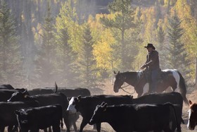 Vista Verde Ranch