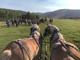 Vista Verde Ranch