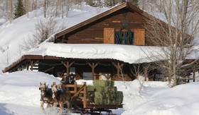 Vista Verde Ranch