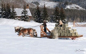 Vista Verde Ranch