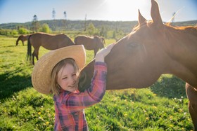 Vista Verde Ranch