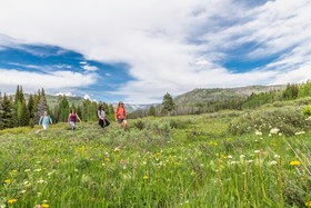 Vista Verde Ranch