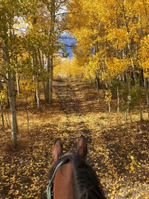 Vista Verde Ranch
