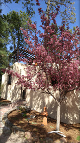 Adobe Inn at Cascade