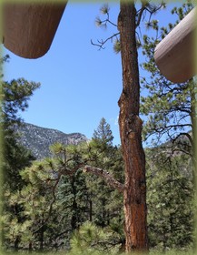 Adobe Inn at Cascade