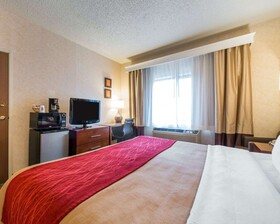 Comfort Inn North - Air Force Academy Area