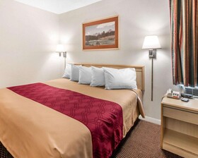 Econo Lodge Downtown