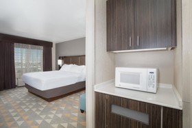 Holiday Inn Colorado Springs Airport