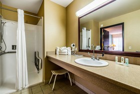 Quality Suites Downtown