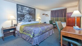 Super 8 by Wyndham Colorado Springs/Chestnut Street