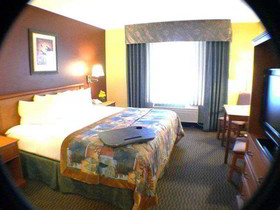 Best Western Plus Deer Park Hotel and Suites