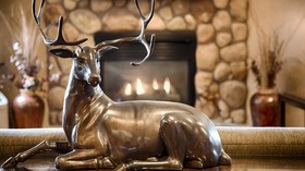 Best Western Plus Deer Park Hotel and Suites
