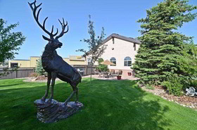 Best Western Plus Deer Park Hotel and Suites
