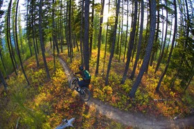 Black Bear Lodge