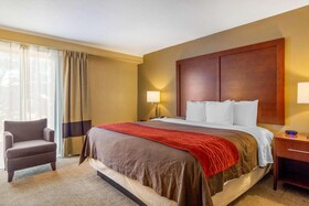 Comfort Inn Central