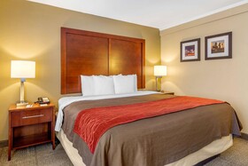 Comfort Inn Central