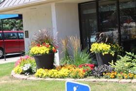 Comfort Inn Central