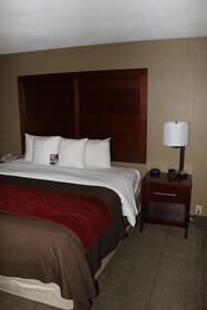 Comfort Inn Central