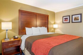 Comfort Inn Central