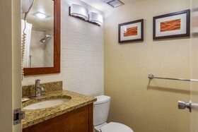 Comfort Inn Central