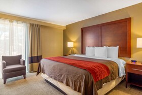 Comfort Inn Central