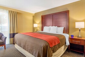 Comfort Inn Central