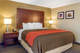 Comfort Inn Central