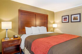 Comfort Inn Central