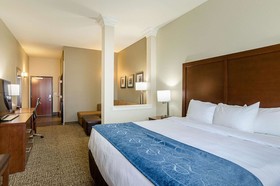 Comfort Suites Near Denver Downtown