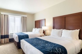 Comfort Suites Near Denver Downtown