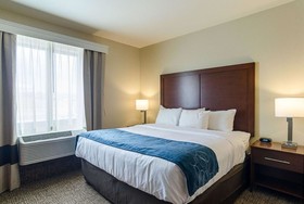 Comfort Suites Near Denver Downtown