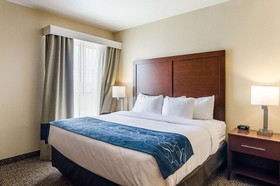 Comfort Suites Near Denver Downtown
