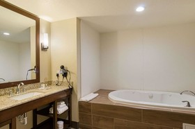 Comfort Suites Near Denver Downtown