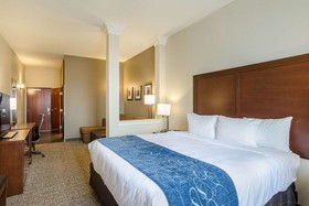 Comfort Suites Near Denver Downtown