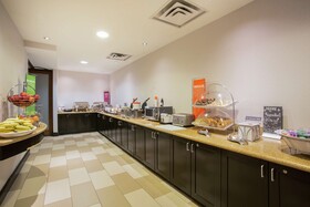 Hampton Inn & Suites Denver-Downtown