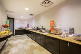 Hampton Inn & Suites Denver-Downtown