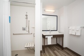Hampton Inn & Suites Denver-Downtown